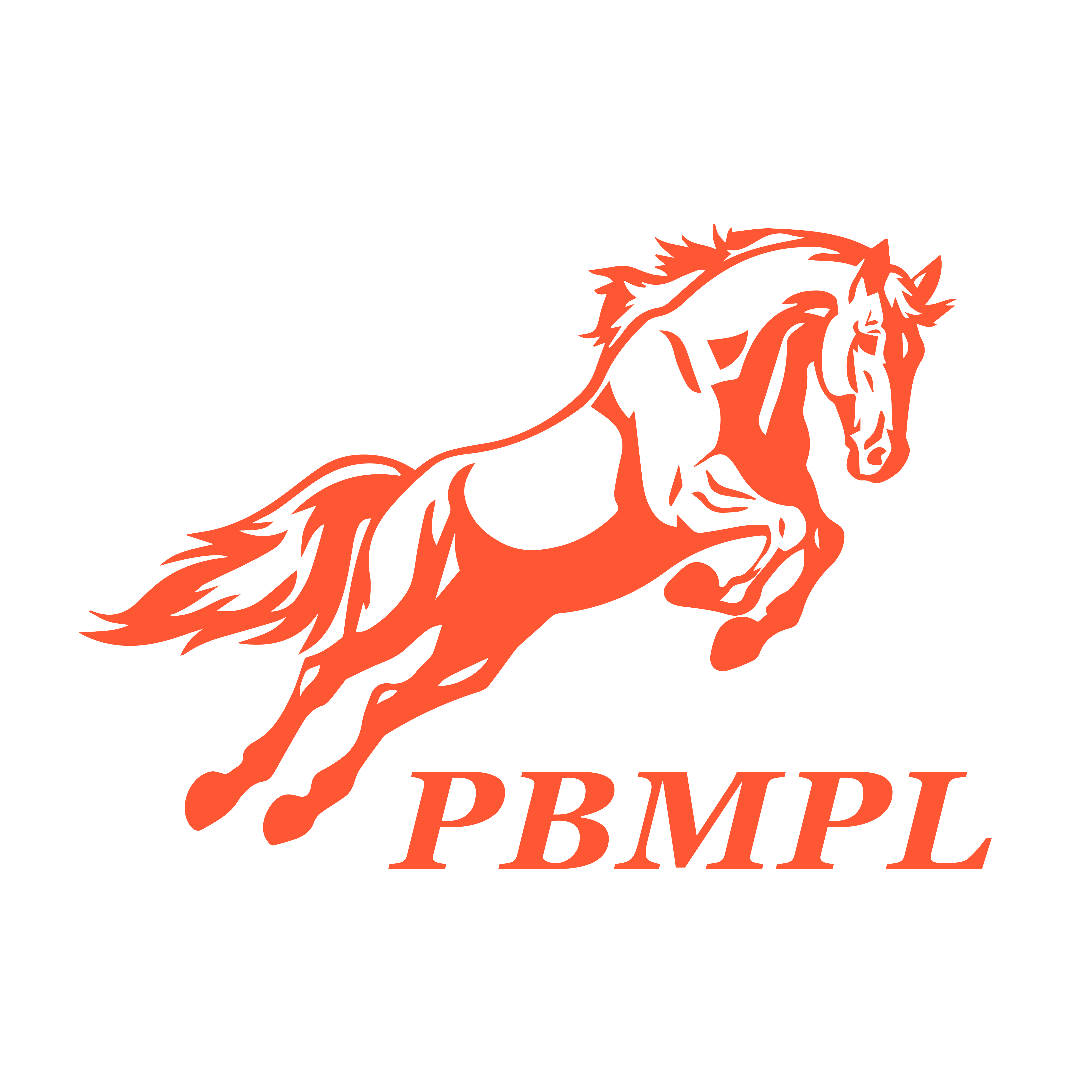 pbmpl logo-01
